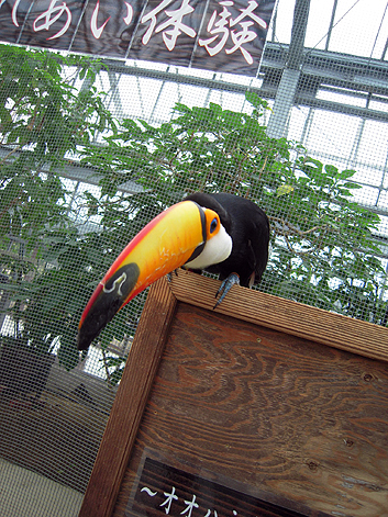 d0131293_1544463.jpg