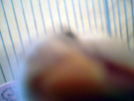 d0131293_1683145.jpg