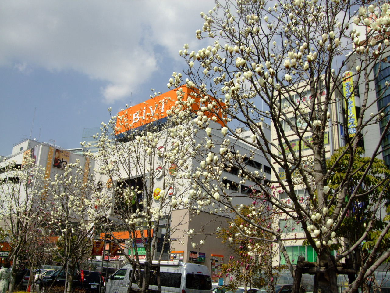 f0100593_13412771.jpg