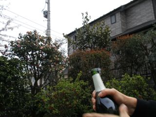 f0130894_21111692.jpg