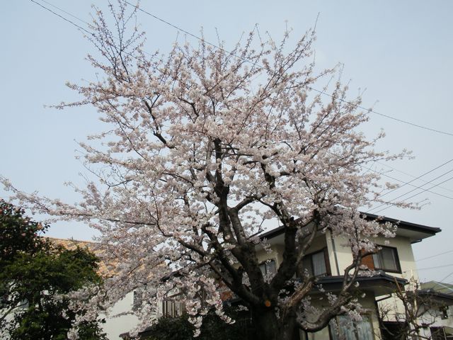 f0130894_21132892.jpg