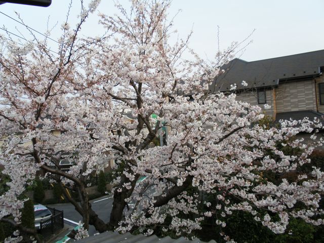 f0130894_21142163.jpg