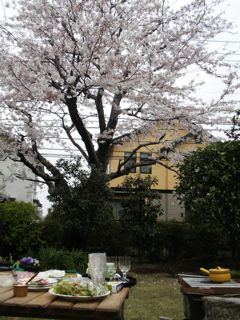 f0130894_219325.jpg