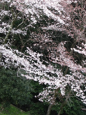 f0181394_16512914.jpg