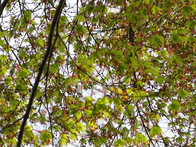 f0181394_16522436.jpg