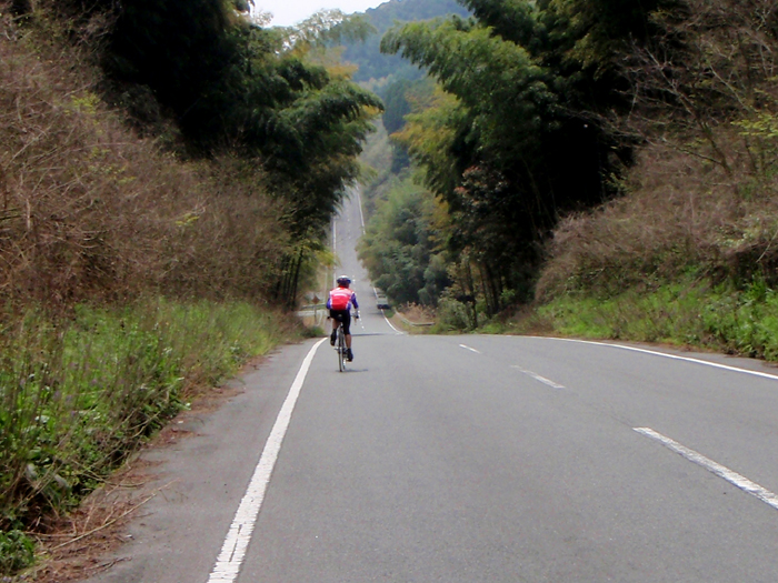 e0079696_1740711.jpg