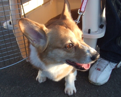 f0077697_1910862.jpg