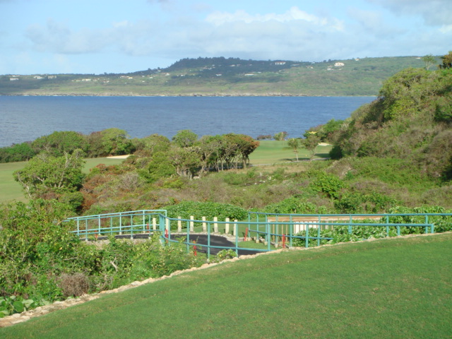 b0048298_10305511.jpg