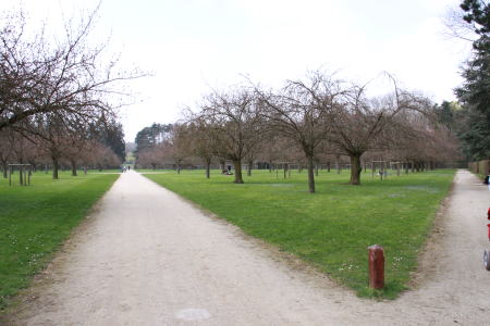 c0090198_5512378.jpg
