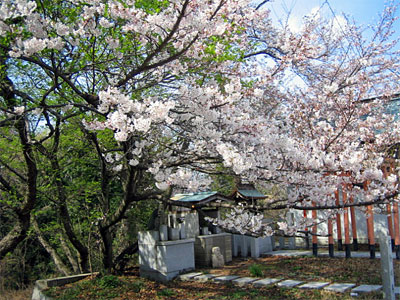 b0108100_20411127.jpg