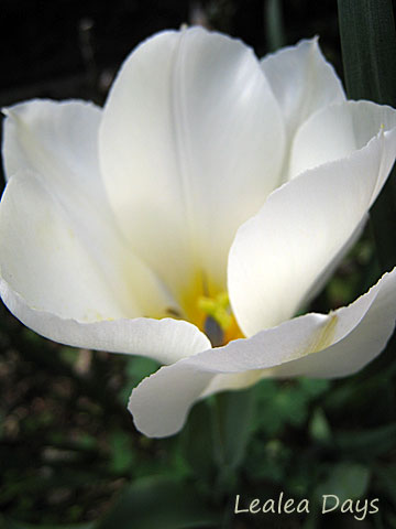 b0000801_21372968.jpg