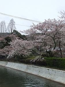 e0150101_19555884.jpg