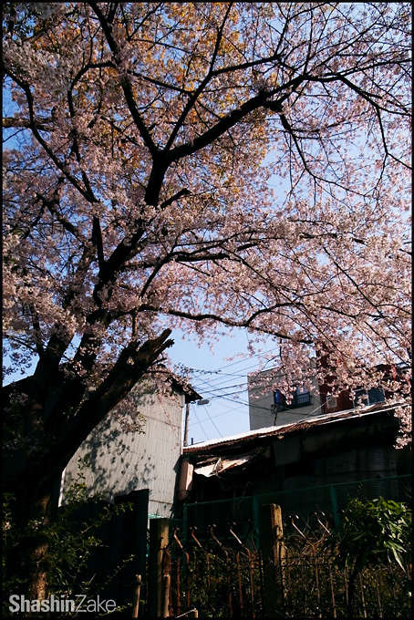 c0102003_17341464.jpg
