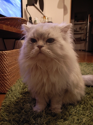 f0195204_1526175.jpg