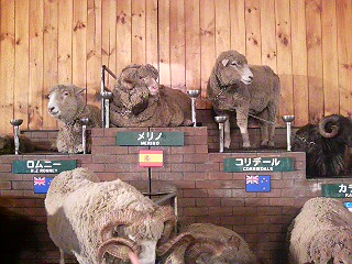 a0116205_213922.jpg