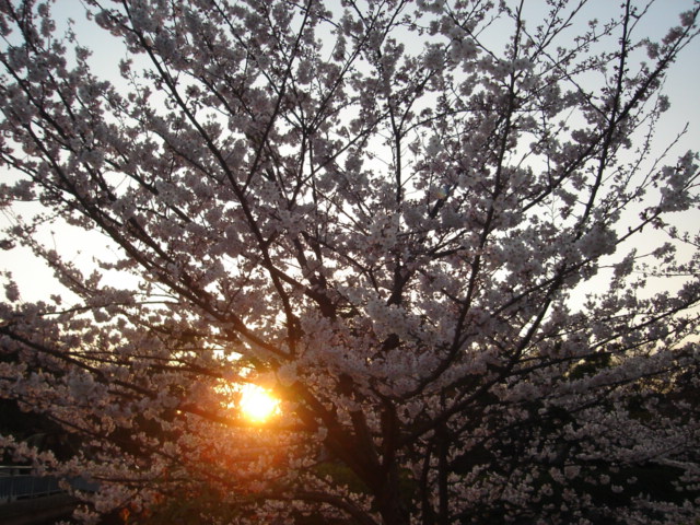 c0093205_2122120.jpg