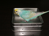 d0013610_13514020.jpg