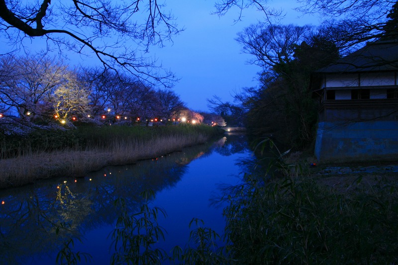 f0201711_1334958.jpg