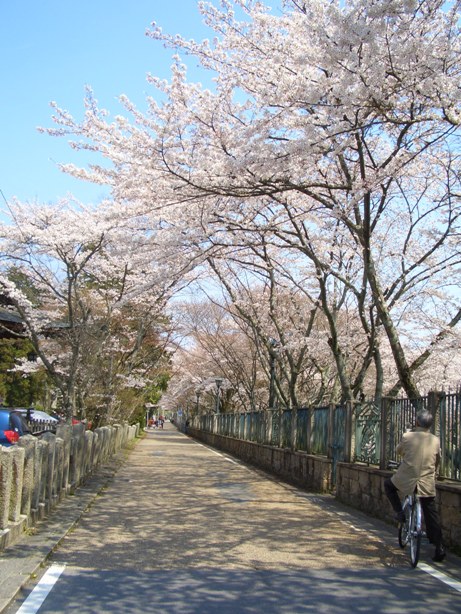 e0033713_23262119.jpg