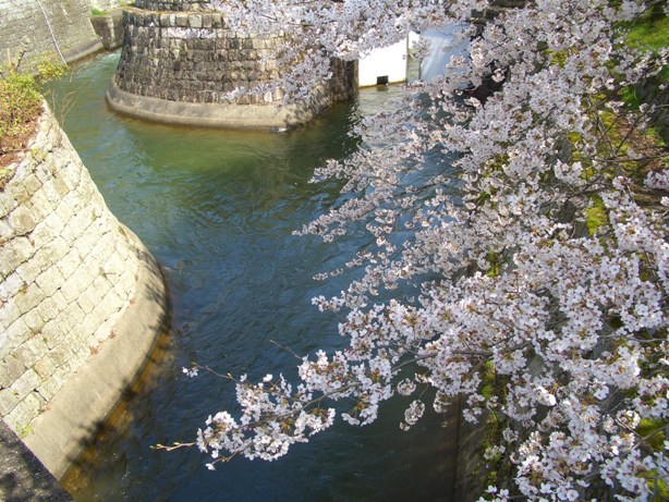 e0033713_23392351.jpg