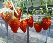 f0041113_12261039.jpg