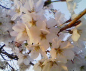 f0041113_12261160.jpg