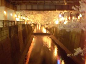 e0072215_123025.jpg