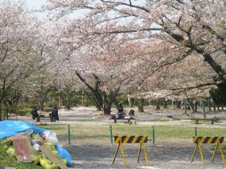 e0167315_23214111.jpg
