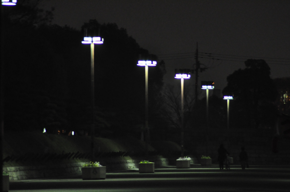 c0116216_3142712.jpg