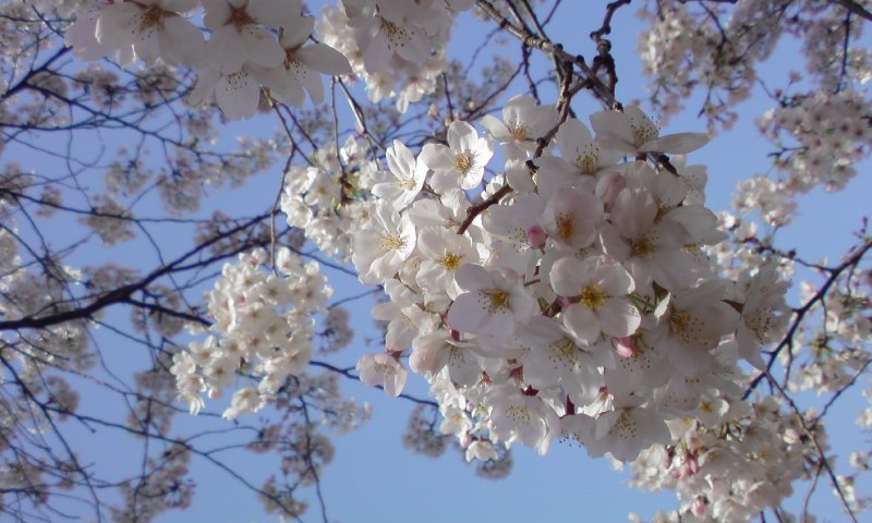 e0138916_20104013.jpg