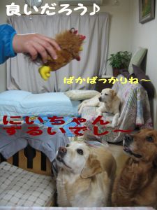 b0008217_15352977.jpg