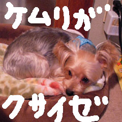 c0036617_736252.jpg