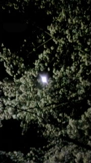 b0024020_2203343.jpg