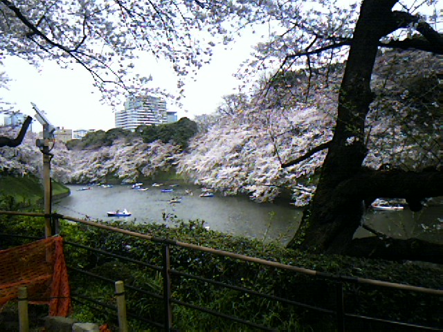 d0010720_1254814.jpg
