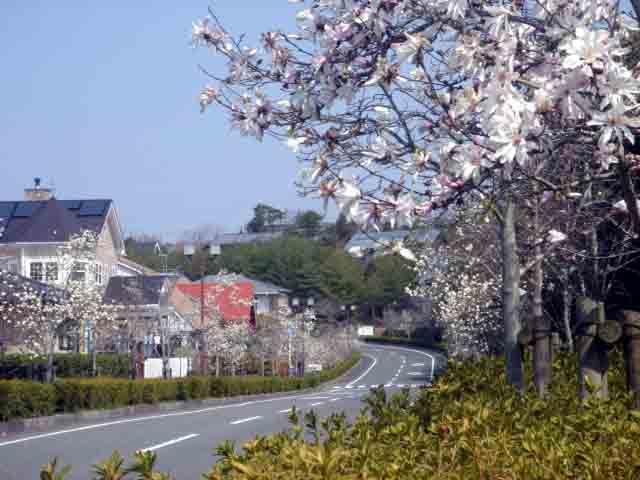e0083820_11225826.jpg