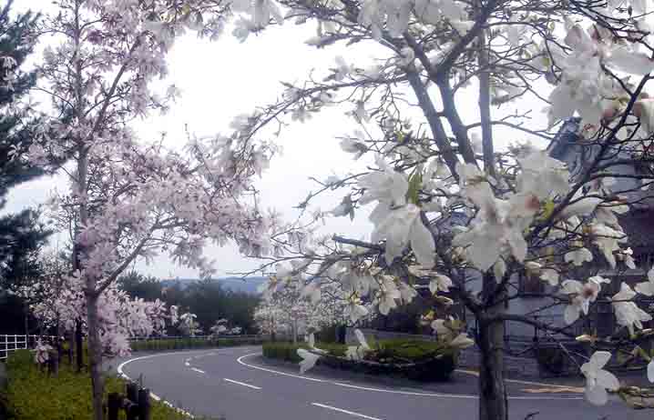e0083820_20491252.jpg