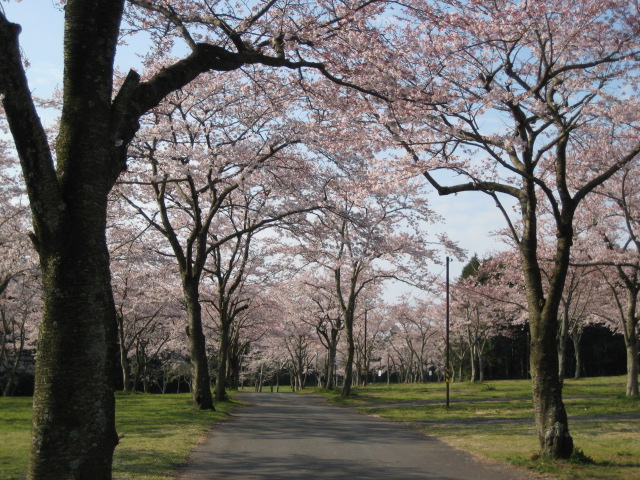 b0093221_10142544.jpg