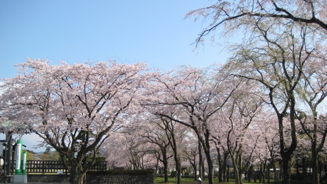 b0093221_108243.jpg