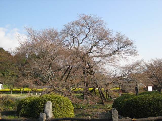 b0093221_936569.jpg