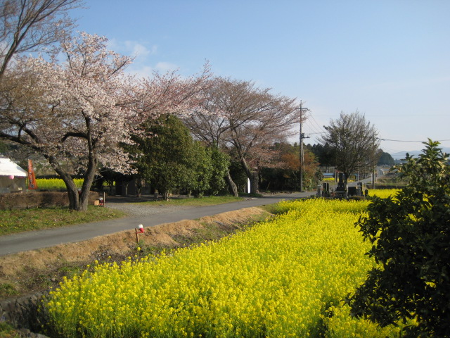 b0093221_9592533.jpg