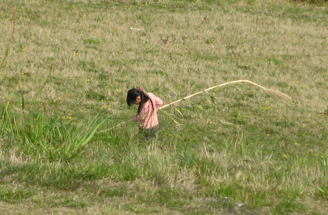 f0031722_16514514.jpg