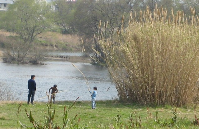 f0031722_1651498.jpg