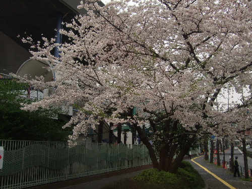 b0132024_213140.jpg