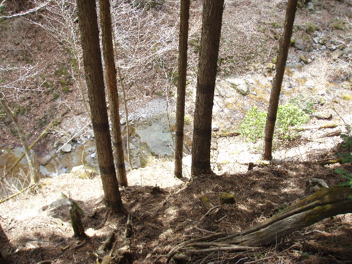 f0103126_23131120.jpg
