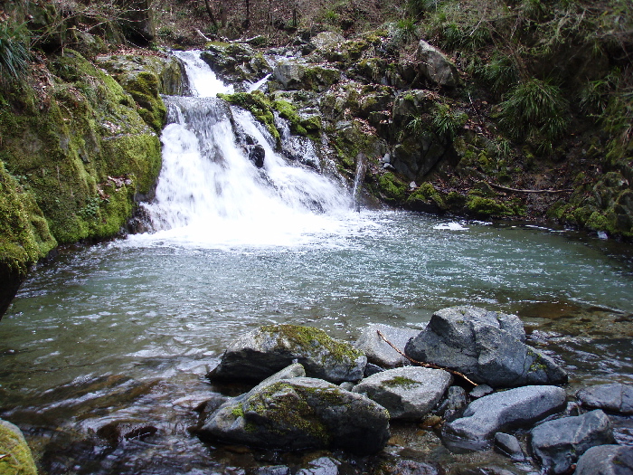 f0103126_2314054.jpg