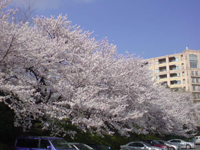 e0016828_21133638.jpg