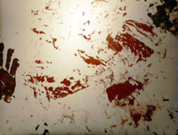 a0046429_20442921.jpg