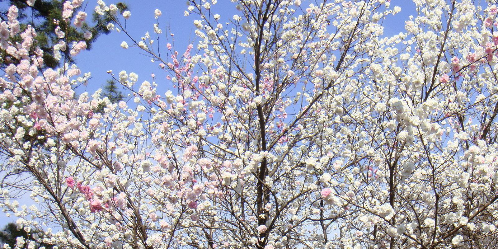 c0086230_22242763.jpg