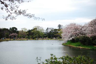b0062531_22275117.jpg