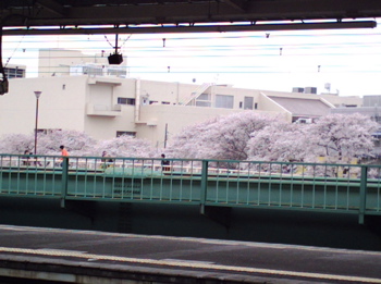 f0165831_7435241.jpg